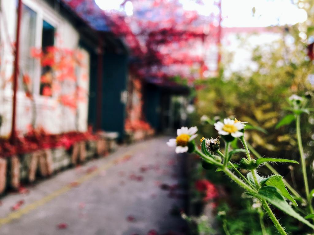 First Met Backpackers Hostel เฉิงเต๋อ ภายนอก รูปภาพ